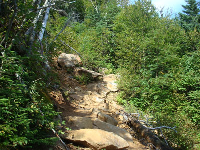 Looking up the Wildcat Ridge Trail as it crosses the slide on the way to Wildcat A