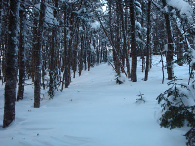 Wildcat Ridge Trail to Wildcat A