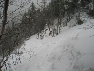 Looking across the slide on the Wildcat Ridge Trail