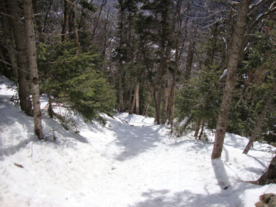 The Carter-Moriah Trail on the way to Wildcat A