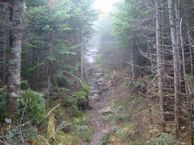 Wildcat Ridge Trail to Wildcat A