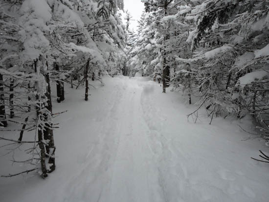 Wildcat Ridge Trail to Wildcat A