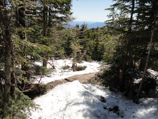 Wildcat Ridge Trail to Wildcat A