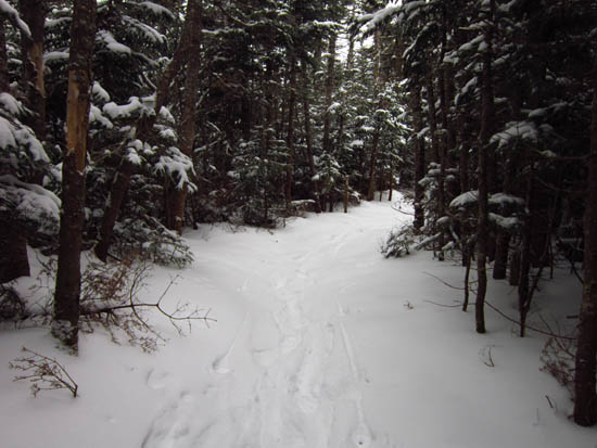 Wildcat Ridge Trail to Wildcat A