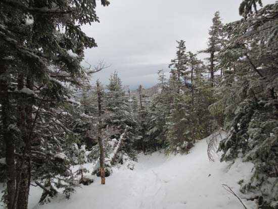 Wildcat Ridge Trail to Wildcat A