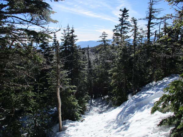 Wildcat Ridge Trail to Wildcat A