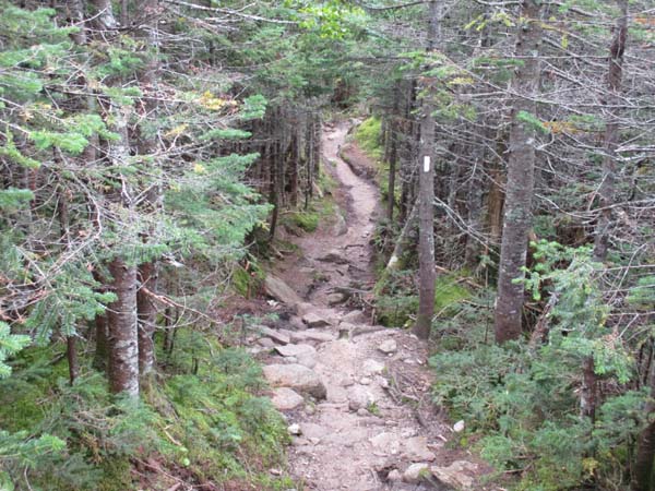 Wildcat Ridge Trail to Wildcat A