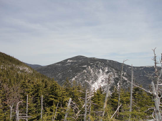 Carter Dome as seen from near the summit of Wildcat B - Click to enlarge