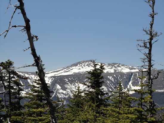 Mt. Washington as seen from Wildcat B - Click to enlarge