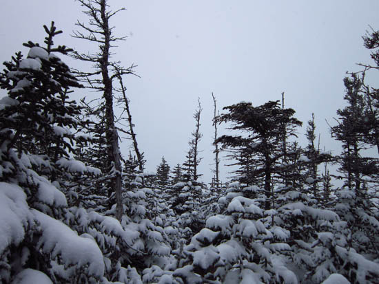 Cloud as seen from Wildcat B - Click to enlarge