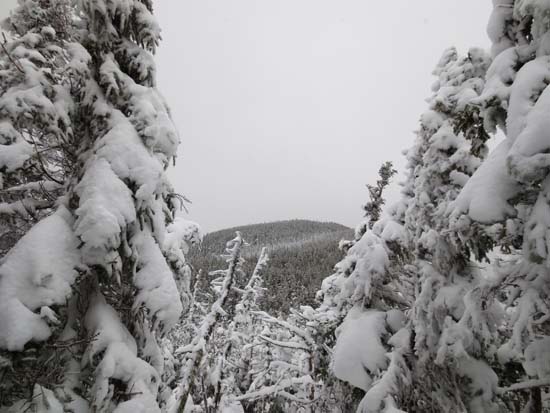 Slight views of Wildcat A as seen from near the summit of Wildcat B - Click to enlarge