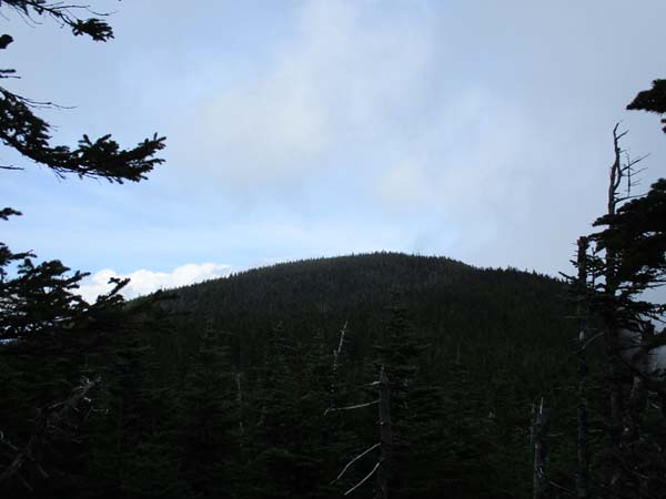 Wildcat A as seen from Wildcat B - Click to enlarge