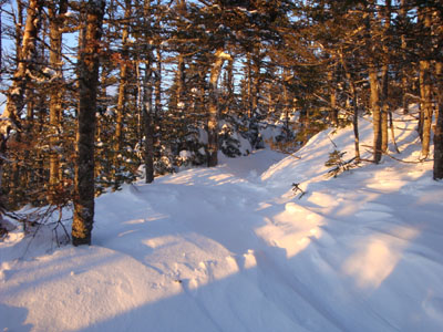 Wildcat Ridge Trail to Wildcat B