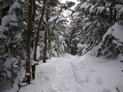 Wildcat Ridge Trail to Wildcat B