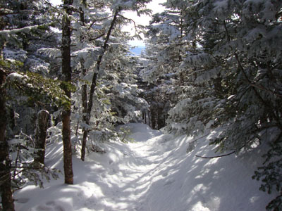 The Wildcat Ridge Trail between Wildcat A and Wildcat B
