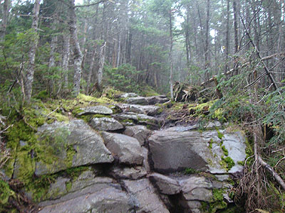 Wildcat Ridge Trail to Wildcat B