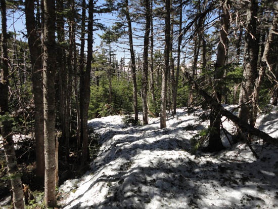 Wildcat Ridge Trail to Wildcat B