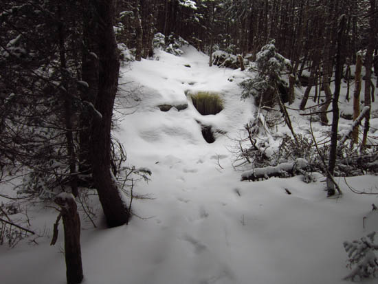 Wildcat Ridge Trail to Wildcat B