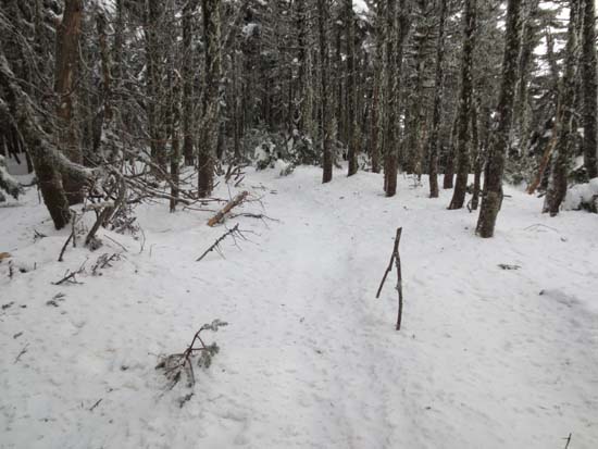 Wildcat Ridge Trail to Wildcat B
