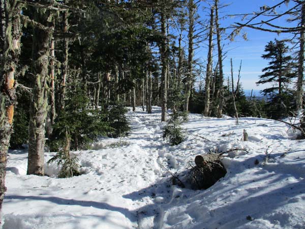 Wildcat Ridge Trail to Wildcat B