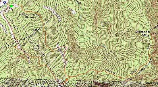 Topographic map of Wildcat C, Wildcat B, Wildcat A, Wildcat D - Click to enlarge