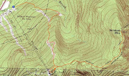 Topographic map of Wildcat C, Wildcat B, Wildcat A, Wildcat D - Click to enlarge