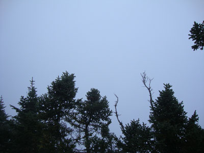 Wildcat C Fog - Click to enlarge