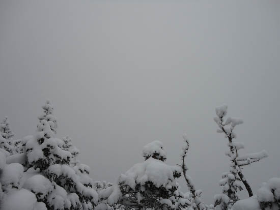 Cloud as seen from Wildcat C - Click to enlarge