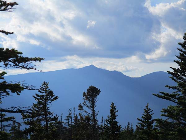 Mt. Adams as seen from near the summit of Wildcat C - Click to enlarge