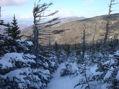 Wildcat Ridge Trail to Wildcat C