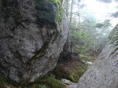 Wildcat Ridge Trail to Wildcat C