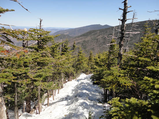 Wildcat Ridge Trail to Wildcat C