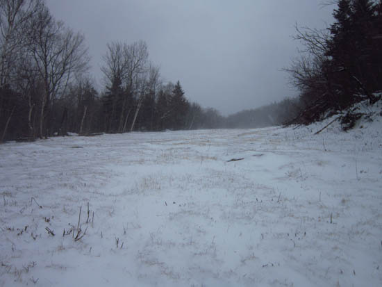 Nearly bare ground on ski trails that haven't seen snowmaking yet