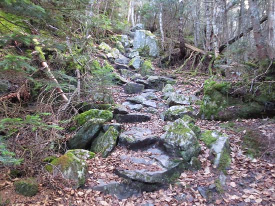 Wildcat Ridge Trail to Wildcat C