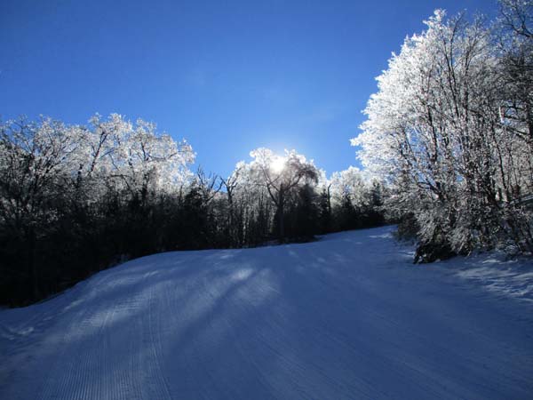 Polecat on the way to Wildcat C