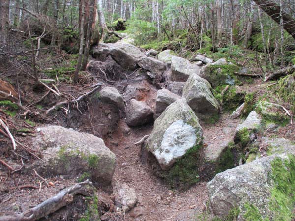 The eroded Wildcat Ridge Trail between D and C