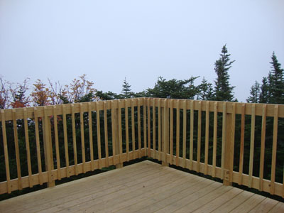 Wildcat D Fog - Click to enlarge