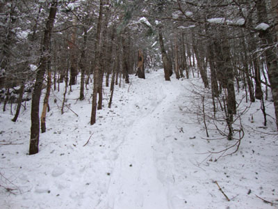 Wildcat Ridge Trail to Wildcat D