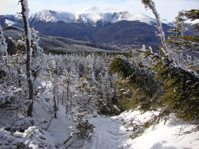 The Wildcat Ridge Trail between Wildcat C and Wildcat D
