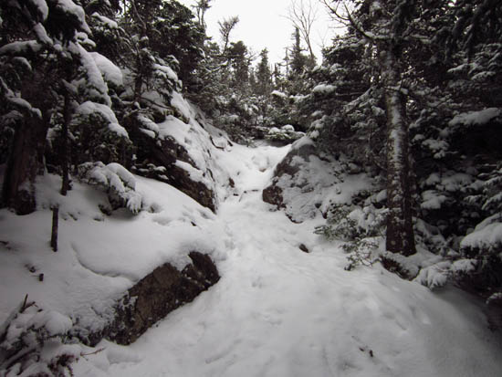 Wildcat Ridge Trail to Wildcat D