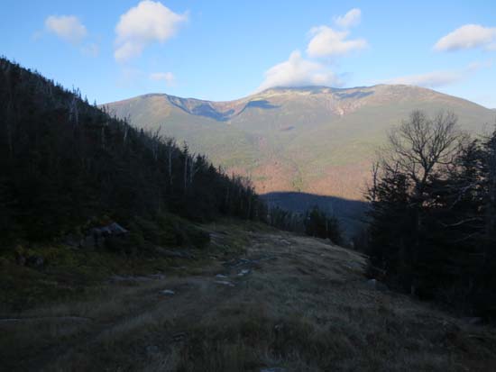 Looking down one of the ski trails on the way to Wildcat D