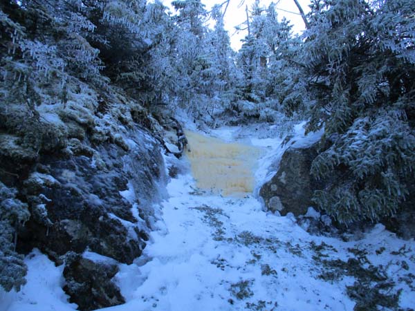 Wildcat Ridge Trail to Wildcat D
