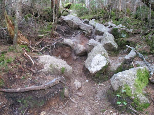 The heavily eroded Wildcat Ridge Trail to Wildcat D