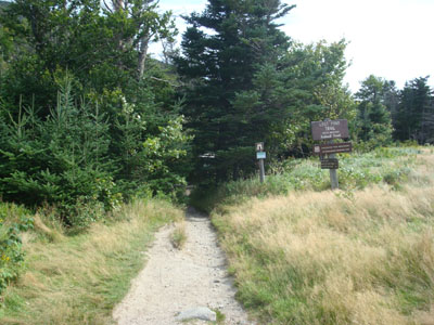 The Lost Pond Trail trailhead next to Route 16