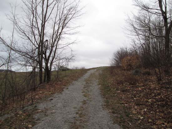 Entering the field on the woods road