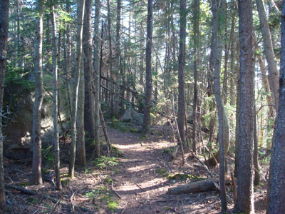 The Walden Trail