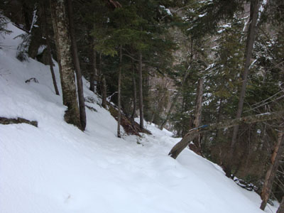 Looking down the Walden Trail on the way to the Four Way junction