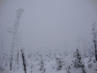 Limited visibility on Zealand Mountain - Click to enlarge
