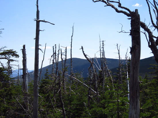 Mt. Bond as seen from near the summit of Zealand Mountain - Click to enlarge