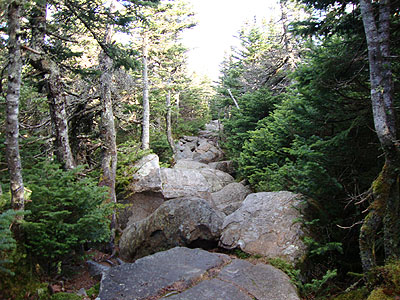 The rocky Twinway on the way to Zealand Mountain